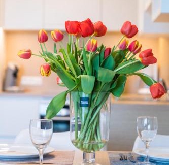 Westende Apartamento | Belcasa Family Suites & Lofts Aparthotel