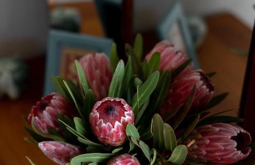 Grabouw Casa | Belfield Wines and Farm Cottages