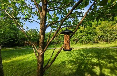 Five Oak Green Cabina | Bell Nook- Shepherd's hut with a spacious wood-fired hot tub