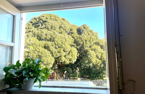 Corso dei Mille - Sant'Erasmo Casa | Bella Kalsa - Alcove in SPA