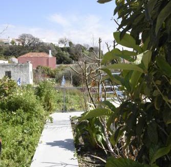 Theologos Casa | Bella's House