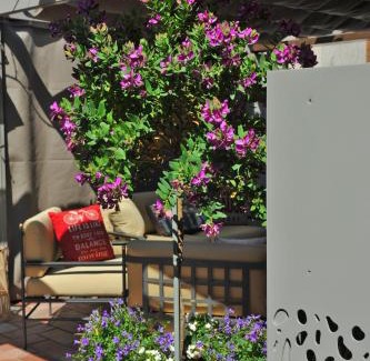 Limone sul Garda Apartamento | Bella Vacanza Limone