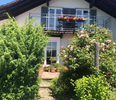 Laufen Apartamento | Bella Vista