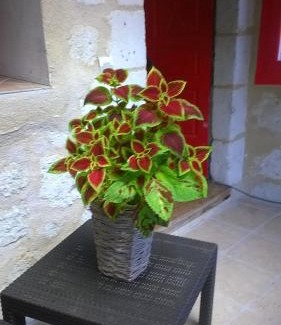 Aubeterre-sur-Dronne Casa | Bella Vista