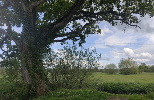 Le Hommet-d'Arthenay Apartamento | Belle Bâtisse en Pierre au Cœur des Marais du Cotentin