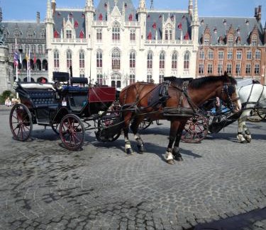 Oostkamp Casa | Belle Vie Comfortable guest house near Bruges