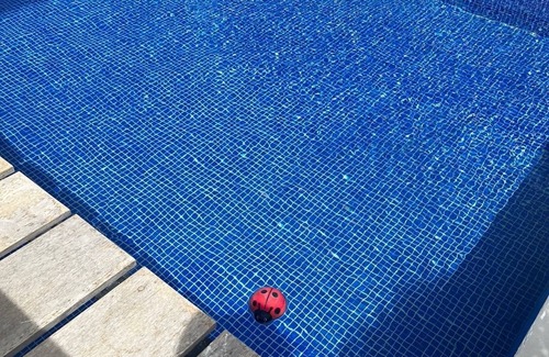 Punta Cana Apartamento | Bello apartamento con piscina privada en Las Iguanas, Cap Cana
