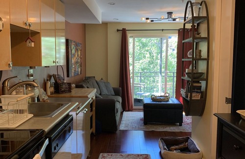 Belltown Apartamento | Belltown oasis: Space Needle, MOPOP, Chihuly