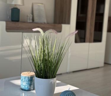 Baja Apartamento | Belvárosi Luxus Apartman