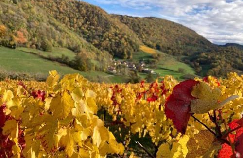Boyeux-Saint-Jerome Casa | Belvédère du Haut Bugey - Refuge dans les cépages