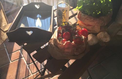 Centola Apartamento | Belvedere Experience Apartment
