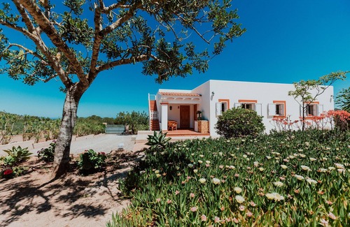 Cala Comte Villa | Mansión moderna en St Josep de sa Talaia con piscina privada