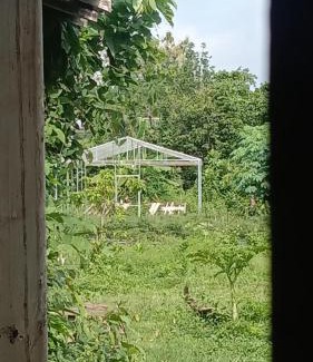 Blitar Casa | Ben Angler Homestay