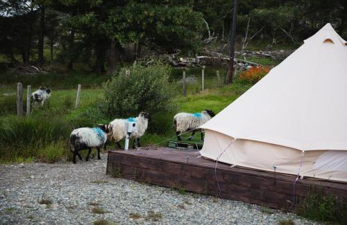 Connemara Hostal | Ben Lettery Hostel