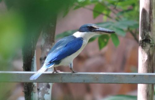 Ben Tre Casa | Ben Tre Farm Stay