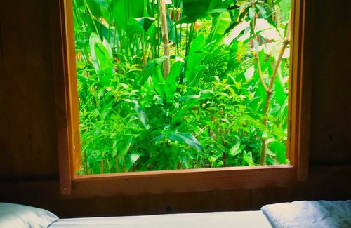 Ben Tre Casa | Ben Tre Farm Stay