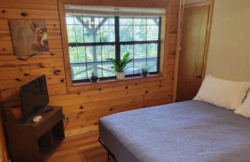 Mountain View Cabina | BenevaBluff - Private cabin on 5 acres located near everything