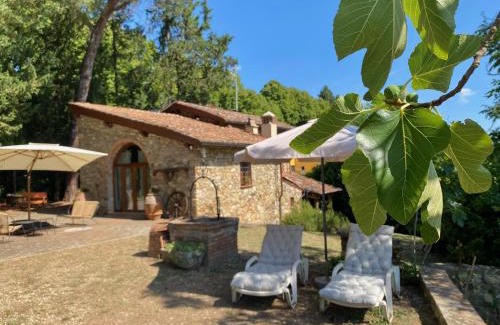 Grassina Casa | Berenice in Chianti - Authentic Tuscan Country House