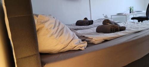 Bergisch Gladbach Apartamento | Berg Messe DG 1Zi, K,D,B Parkplatz, W-Lan, Homeoffice