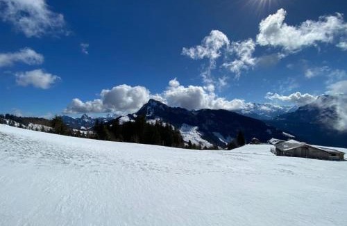 Gersau Cama Y Desayuno | Berggasthaus Rigi-Burggeist
