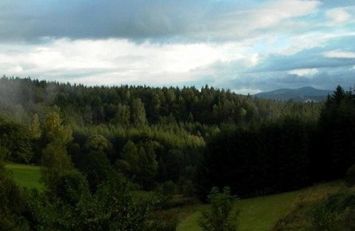 Bobrach Apartamento | Bergl-Alm, Urlaub mit Hund