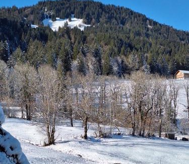 Kierwang Apartamento | Bergliebe