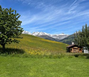 Meierhof Apartamento | Bergoase Obersaxen