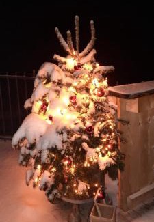 Brixen im Thale Casa | Bergpension-Ebental