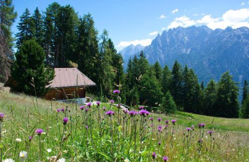 Assling Chalet De Esquí | Bergquellenhütte