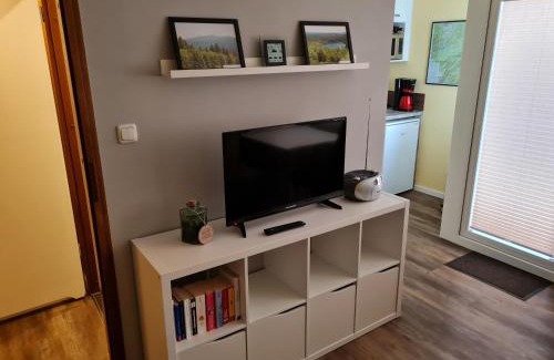 Altenau Apartamento | Bergstation Altenau