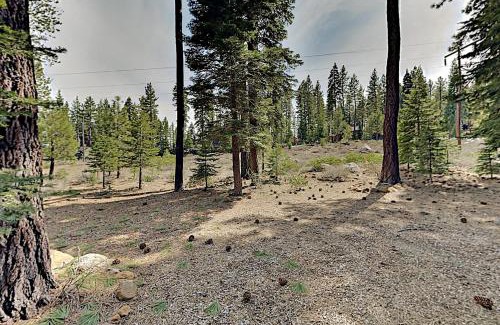 Truckee Casa | Bernese Gem