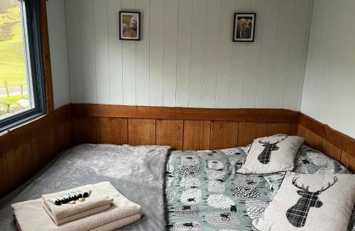 Bontnewydd Casa | Berwyn Shepherds Hut