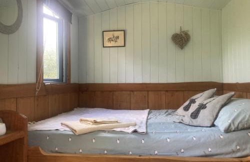Bontnewydd Casa | Berwyn Shepherds Hut