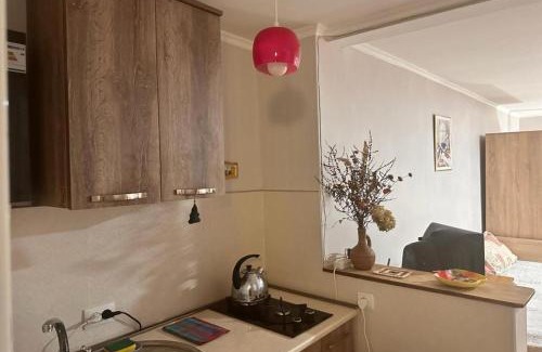 Borjomi Apartamento | Beso-house