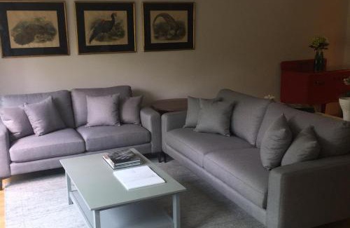 Miguel Hidalgo Apartamento | Best location in Mexico City