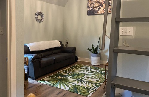 San Jacinto Cabaña | Best of all worlds!Historic neighborhood, new home , walk to beach or downtown
