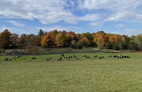 Charlotte Casa | Best of Vermont: 3 bedroom on 10 acres