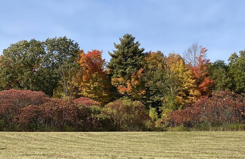 Charlotte Casa | Best of Vermont: 3 bedroom on 10 acres
