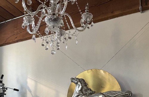 Parkdale Condominio | Best original hard loft in town