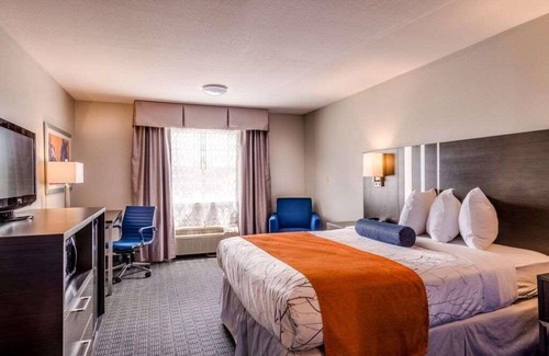 Lexington Complejo | Best Place to Stay in Kentucky Free Parking, Free Breakfast, Onsite Pool