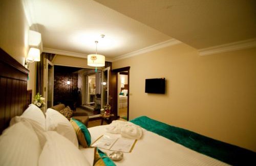 Sultanahmet Apartamento | Best Point Suites Old City,Istanbul