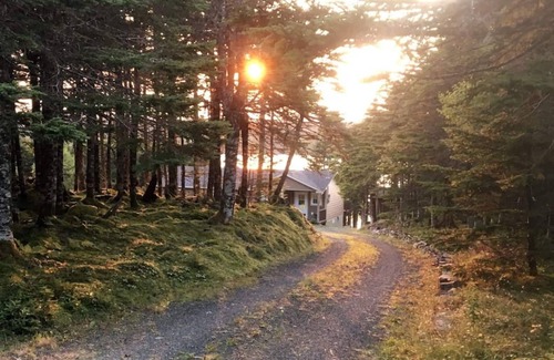 Brigus Junction Cabina | BEST View Wonderland-Cozy Cabin on Pond