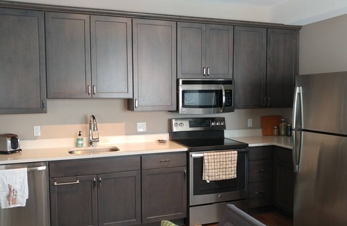 Crested Butte Condominio | La mejor vista de la montaña - Mt. CB Condo - 2B / 1BA