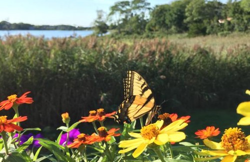 Sag Harbor Cama Y Desayuno | best view