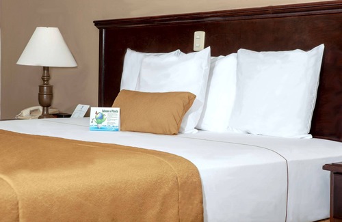 Torreón Hotel | Best Western Hotel Posada Del Rio Express