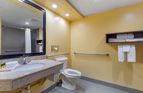 Greenville Hotel | Best Western Plus Suites-Greenville