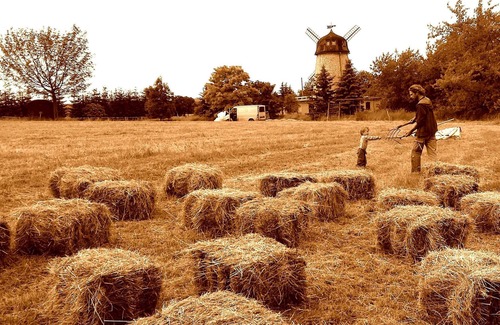Heichelheim Casa | Bett am Kornfeld - Ferienhaus Mitten im Grünen Neben Pferdekoppel
