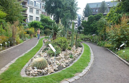 Jewish Quarter Casa | Better Choice for your Vacation! 2 Classy Units Close to Historical Sites!