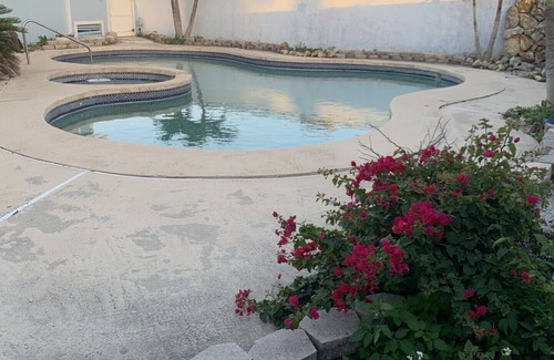 Wilbur-By-The-Sea Apartamento | "Beverly's Place" Beachfront Apt Daytona Beach - just steps away from the ocean!