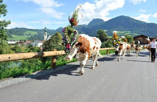 Radfeld Apartamento | Bichlerhof